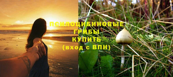 трава Абаза