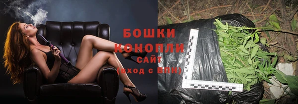 трава Абаза